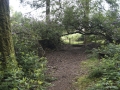 DSC00225.jpg