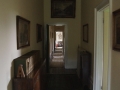 DSC00294.jpg