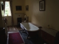 DSC00317.jpg