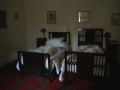 DSC00323.jpg