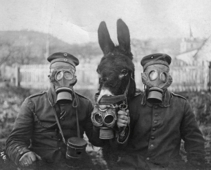 Godfrey&Donkey